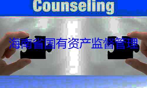 理委员会党委副书记王有福接受审海南省国有查调查资产监督管